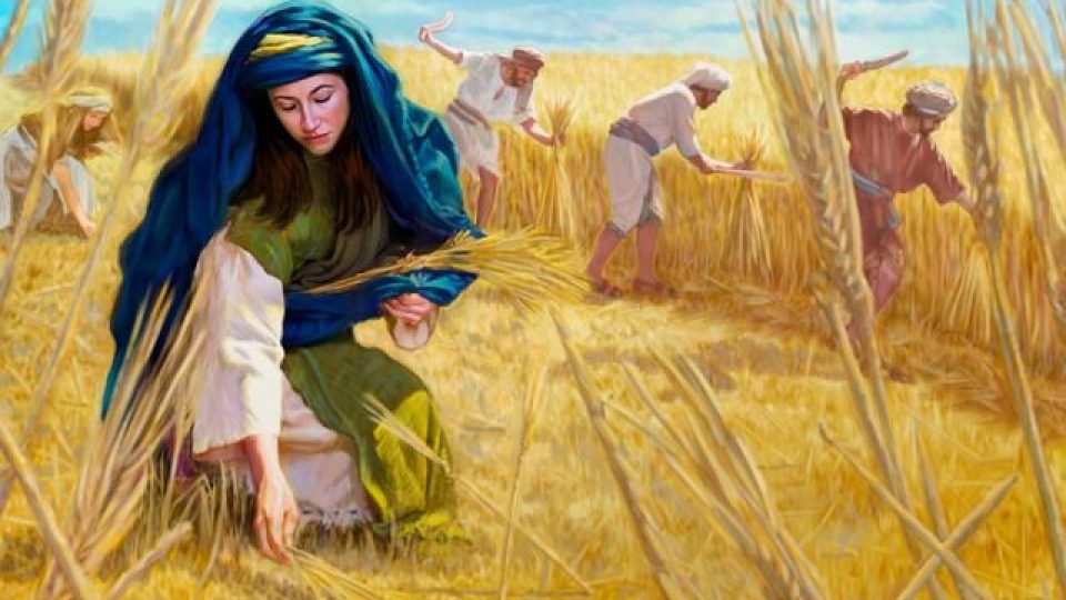 24-0a5074ddd836fadf7120310934bc0b0b