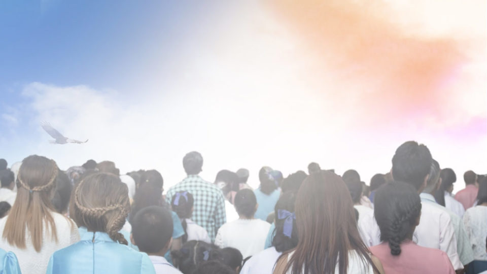 24-shutterstock_499209553