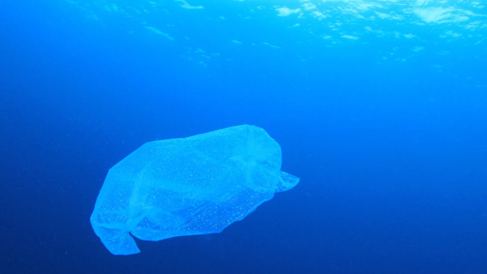 S.O.S. CRIAÇÃO DE DEUS Um Oceano de plástico