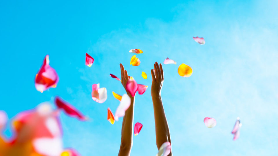 179-shutterstock_230622595