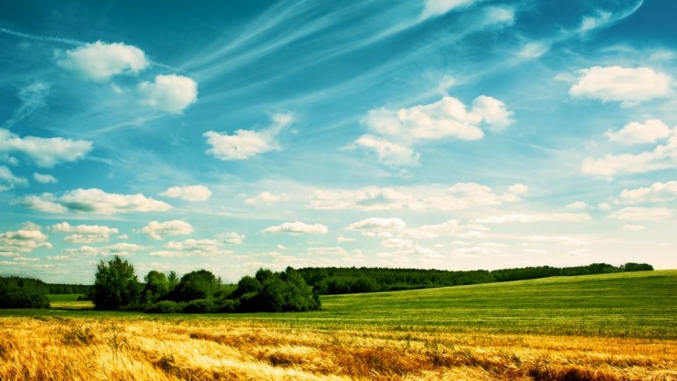 4-shutterstock_113819794